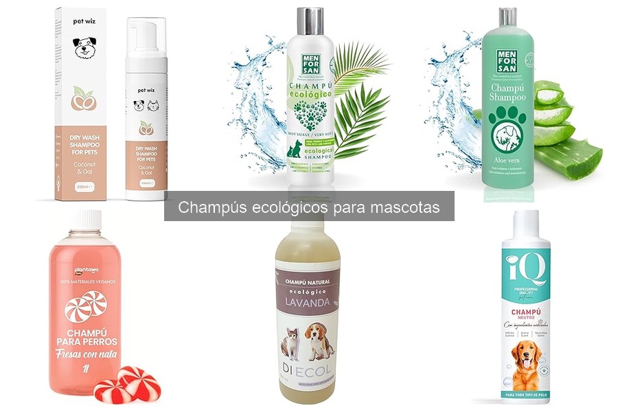 Mejores champús ecológicos para perros: comparativa 2023