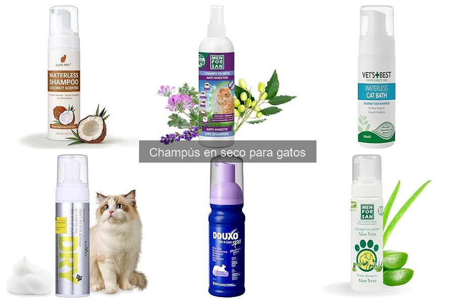 Mejores champús en seco para gatos según su pelaje