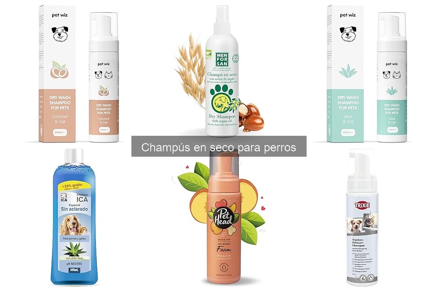 Mejores champús en seco para perros según su tipo de pelo