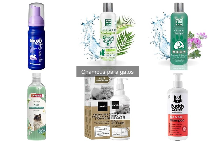 Mejores champús para gatos con problemas dermatológicos