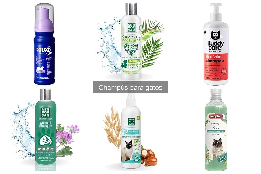Mejores champús para gatos: guía de selección y tipos