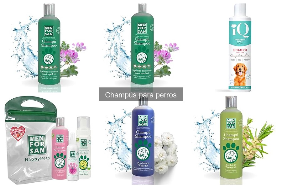 Mejores champús para perros según el tipo de pelaje