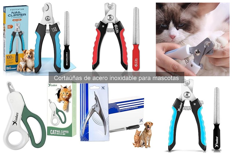 Mejores cortaúñas de acero inoxidable para perros pequeños