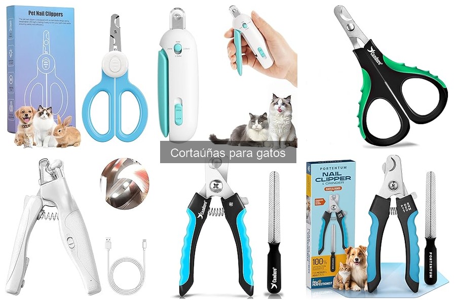 Mejores cortaúñas para gatos: opiniones y comparativa 2023