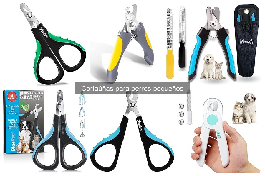 Mejores cortaúñas para perros pequeños en 2023