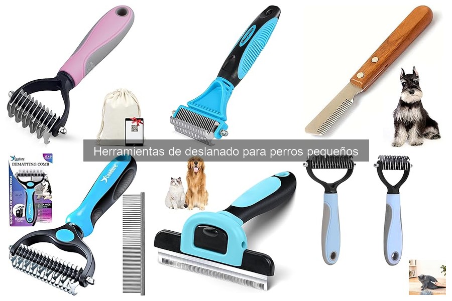 Mejores herramientas de deslanado para perros pequeños según usuarios