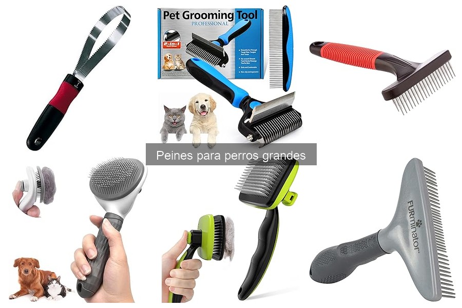 Mejores lugares para comprar peines para perros grandes