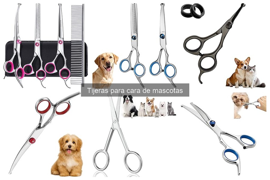 Mejores lugares para comprar tijeras para cara de mascotas