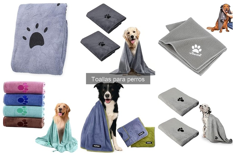 Mejores lugares para comprar toallas para perros en oferta