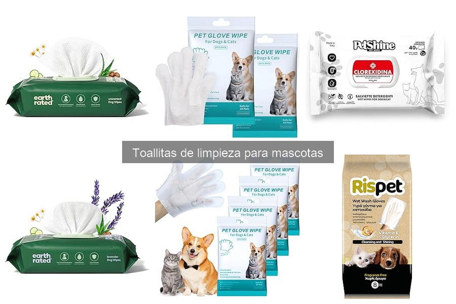 Mejores lugares para comprar toallitas de limpieza para mascotas
