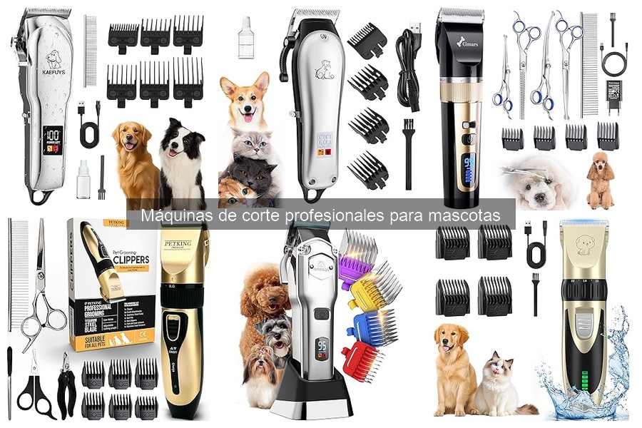 Mejores máquinas de corte para perros grandes: guía 2023