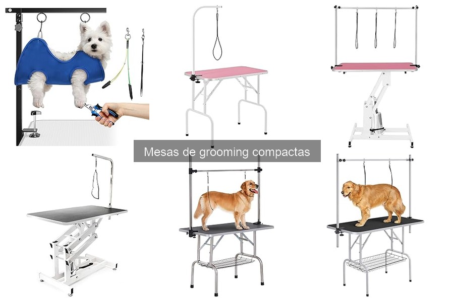 Mejores mesas de grooming compactas para perros pequeños