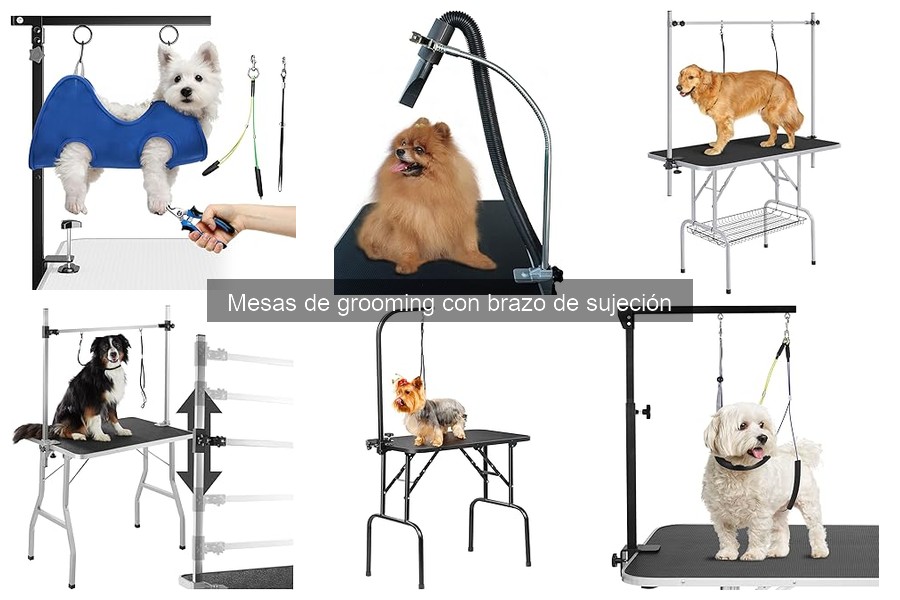 Mejores mesas de grooming con brazo para perros pequeños