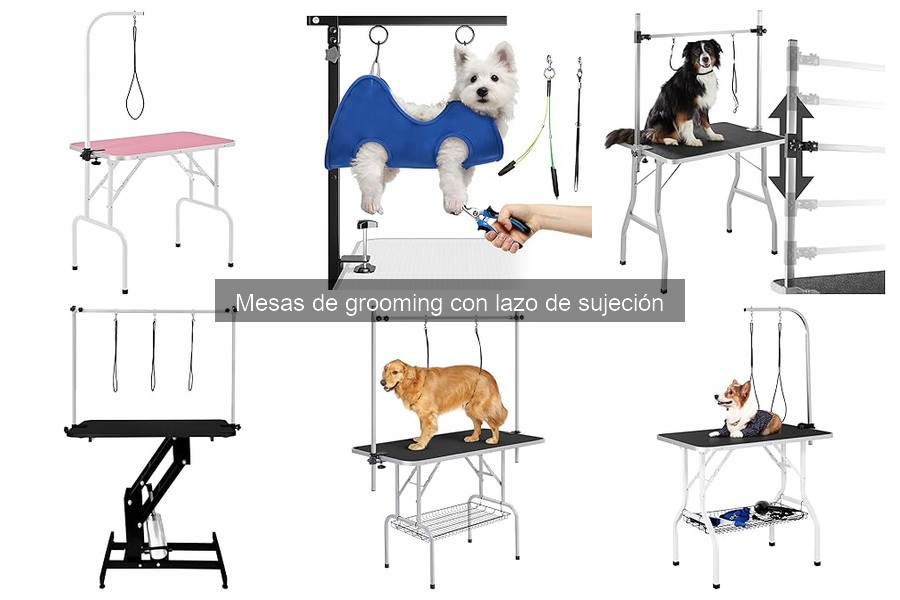 Mejores mesas de grooming con lazo de sujeción para principiantes