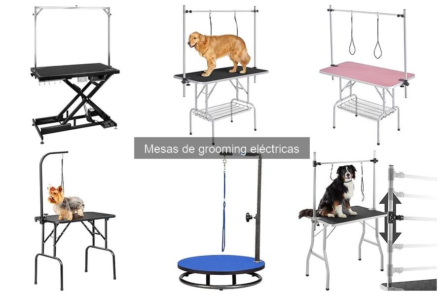 Mejores mesas de grooming eléctricas para perros grandes 2023