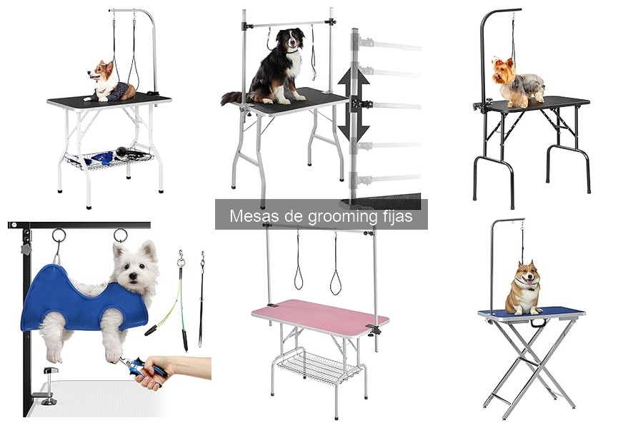 Mejores mesas de grooming fijas para perros grandes