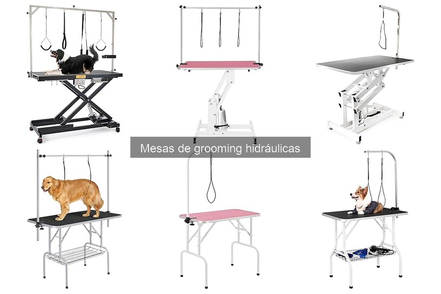 Mejores mesas de grooming hidráulicas para perros grandes