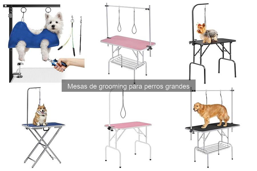 Mejores mesas de grooming para perros grandes en 2023