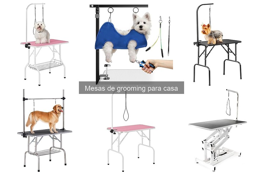 Mejores mesas de grooming para perros grandes en casa