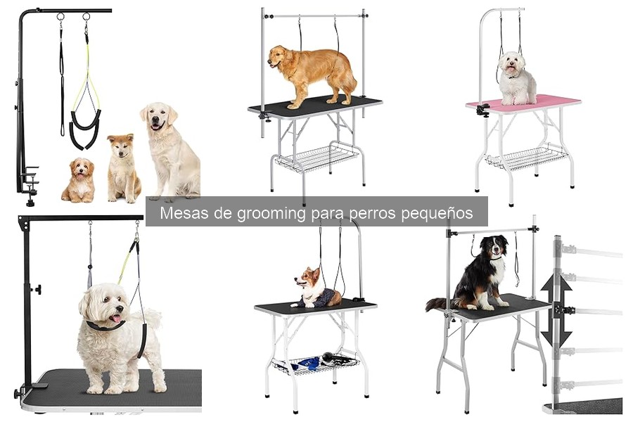Mejores mesas de grooming para perros pequeños 2023