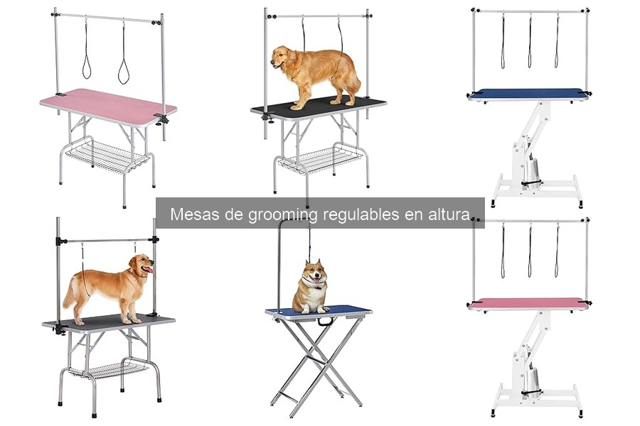 Mejores mesas de grooming regulables para terrenos irregulares