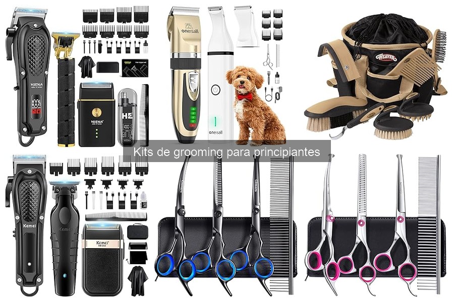 Mejores Ofertas en Kits de Grooming para Principiantes