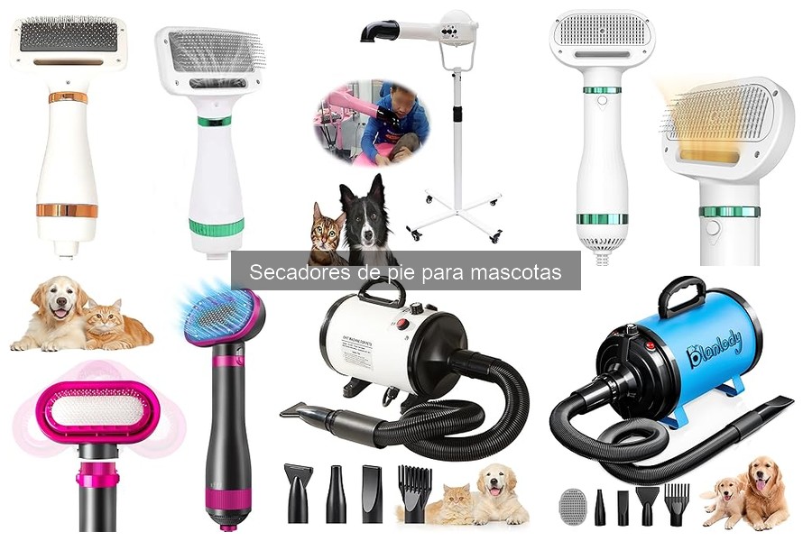 Mejores Ofertas en Secadores de Pie para Mascotas