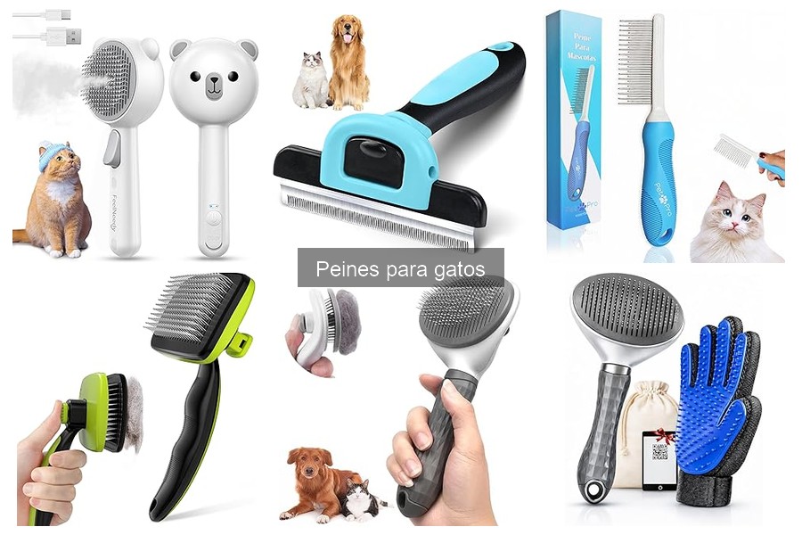 Mejores peines para gatos de pelo largo: ¡cuida su pelaje!