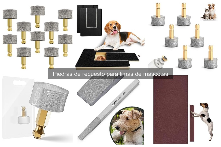 Mejores piedras de repuesto para limas de mascotas en 2023