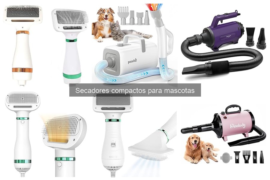 Mejores secadores compactos para perros de pelo largo (comparativa)