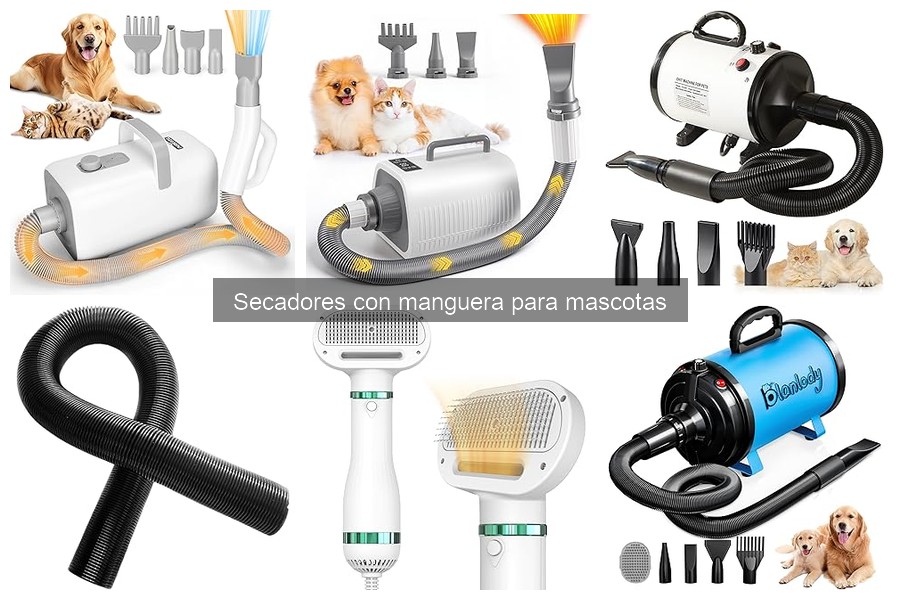 Mejores secadores con manguera para mascotas en 2023