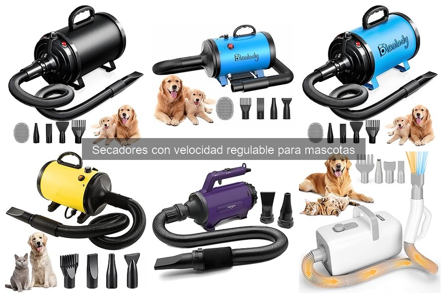 Mejores secadores con velocidad regulable para mascotas