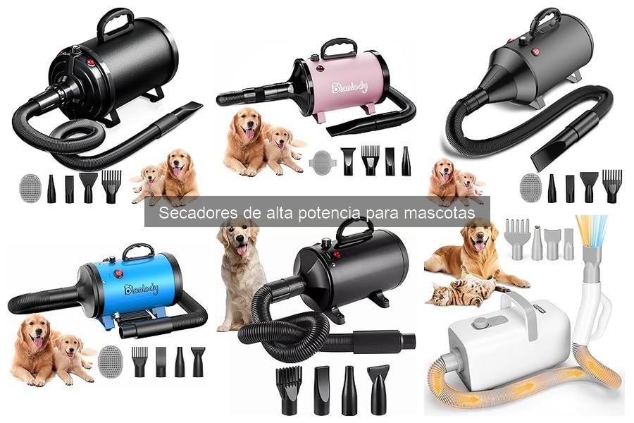 Mejores secadores de alta potencia para perros grandes