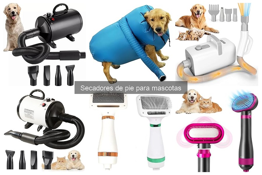 Mejores secadores de pie para mascotas en 2023