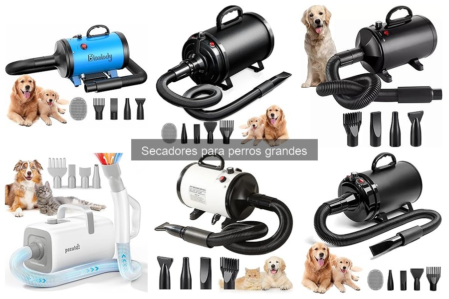 Mejores secadores para perros grandes: potencia y eficiencia