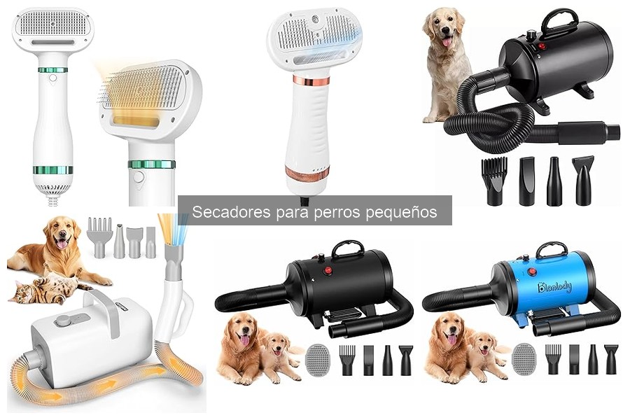 Mejores secadores para perros pequeños en 2023: comparativa