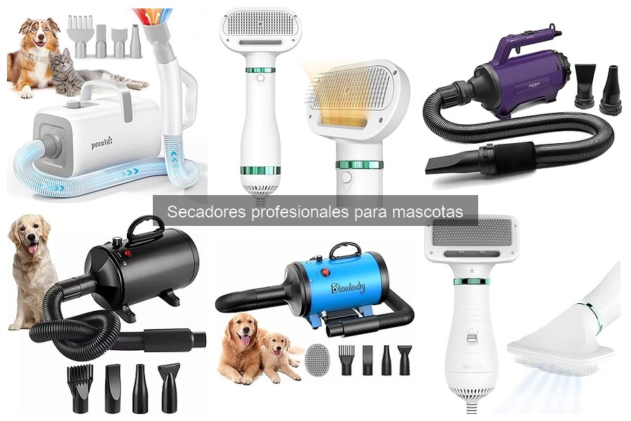 Mejores secadores profesionales para perros grandes (comparativa)