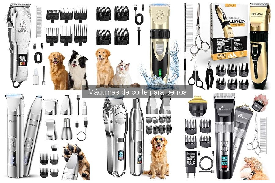Mejores tiendas para comprar máquinas de corte para perros