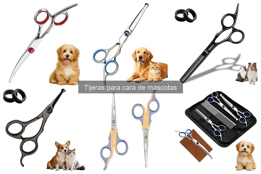Mejores tijeras para cara de mascotas: guía de compra