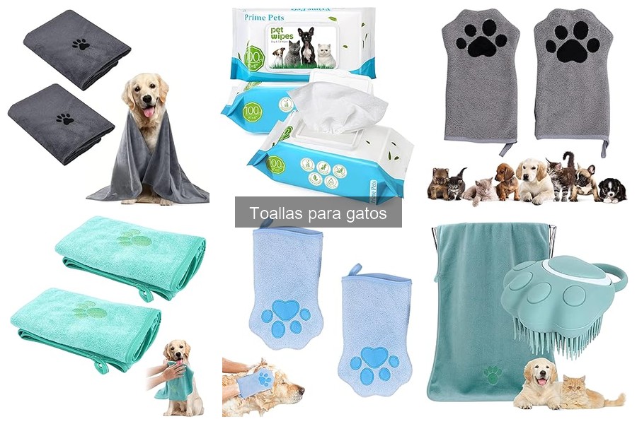 Mejores toallas para gatos: dónde comprarlas online