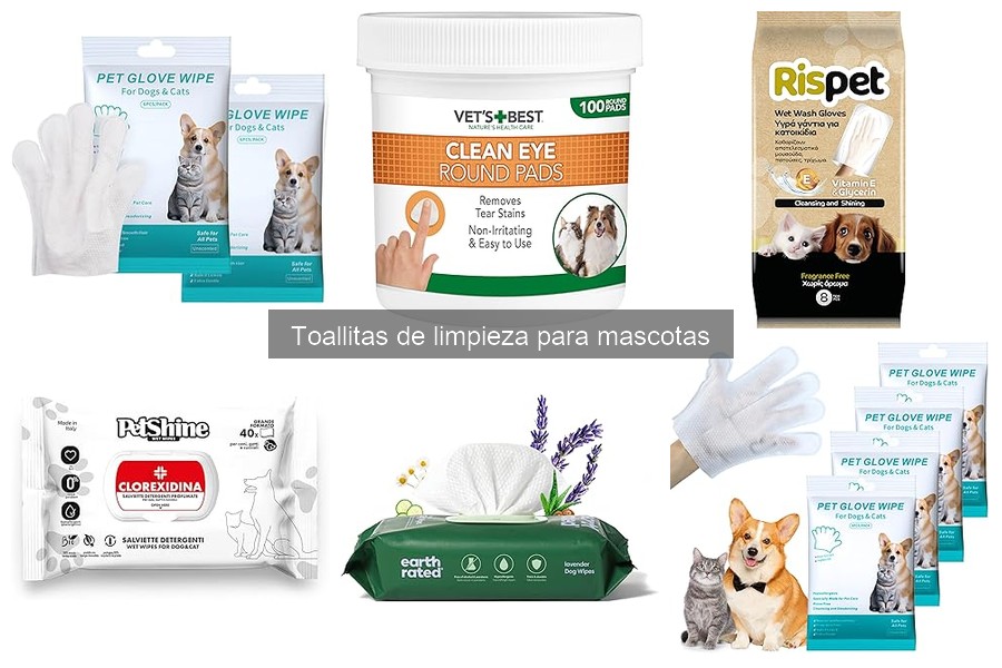 Mejores toallitas de limpieza para gatos: comparativa 2023
