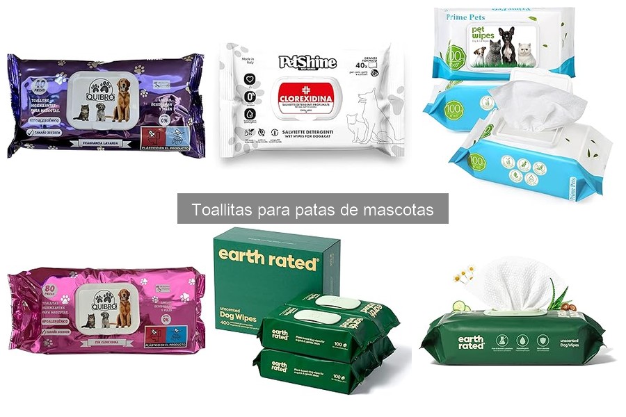 Mejores toallitas para patas de mascotas según tipo