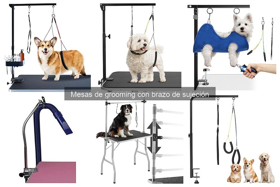 Mesa de grooming con brazo de sujeción: características claves