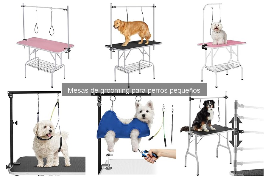 Mesa de grooming para perros pequeños: ¿Qué son y características?