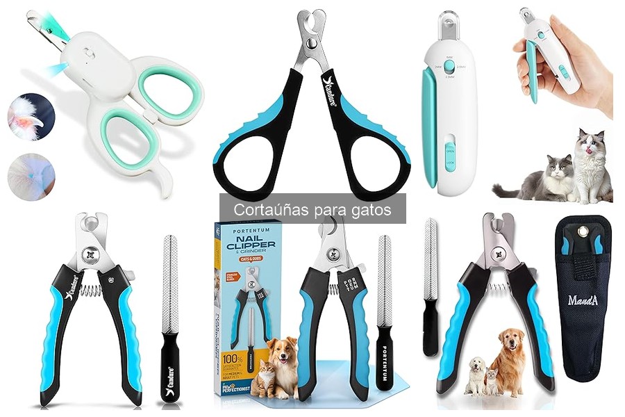 Mitos sobre el corte de uñas en gatos: ¡Desmiéntelos ya!