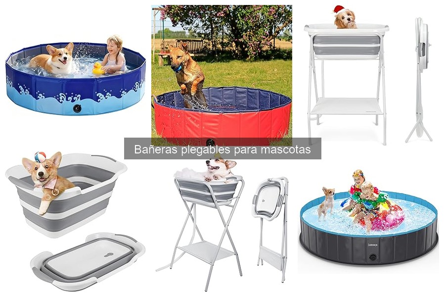 Normas de seguridad para usar bañeras plegables para mascotas