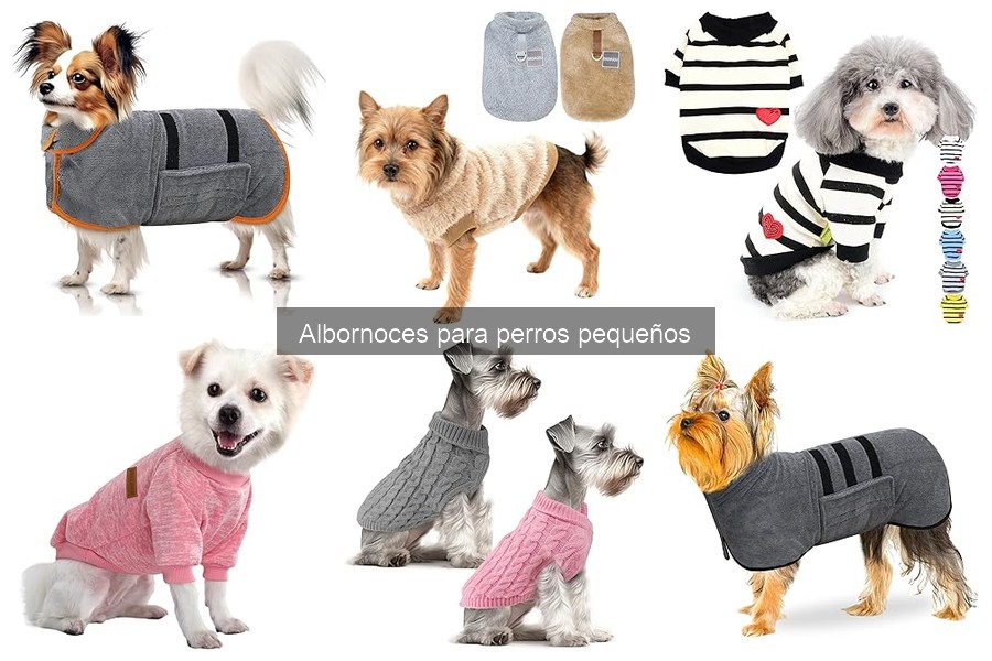 Ofertas en Albornoces para Perros Pequeños: ¡Ahorra Hoy!