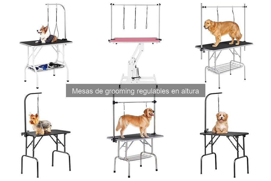 Ofertas en mesas de grooming regulables en altura