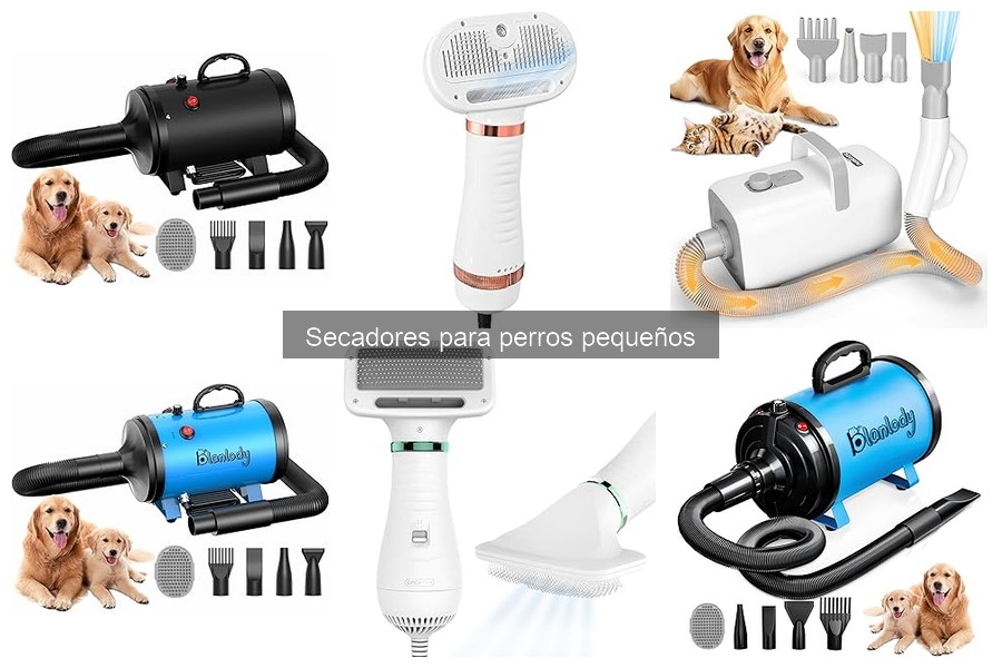 Ofertas en secadores para perros pequeños: ¡Descuentos que no te pierdas!