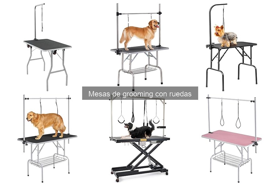Ofertas y Descuentos en Mesas de Grooming con Ruedas